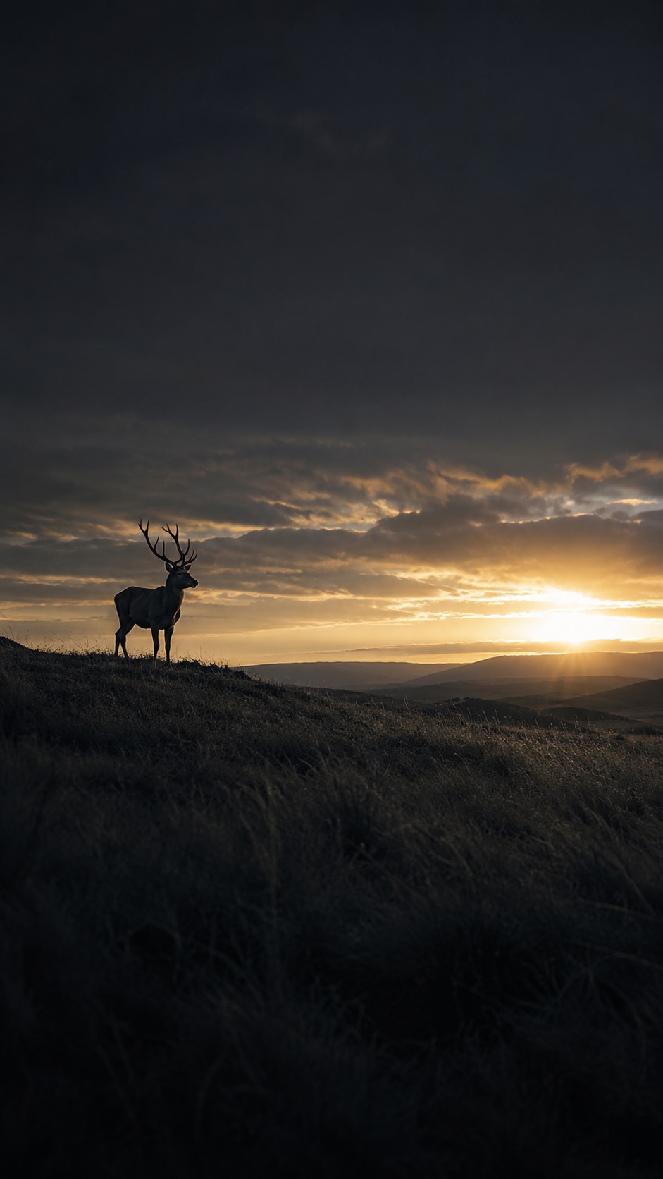 Golden Deer