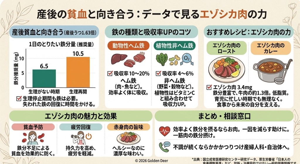 産後の貧血、なぜ起こりやすいのか